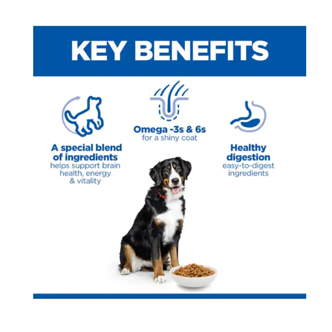 Hill’s Science Plan Large Breed Senior Vitality 6+ Chicken Dry Dog Food   | Canine & Co