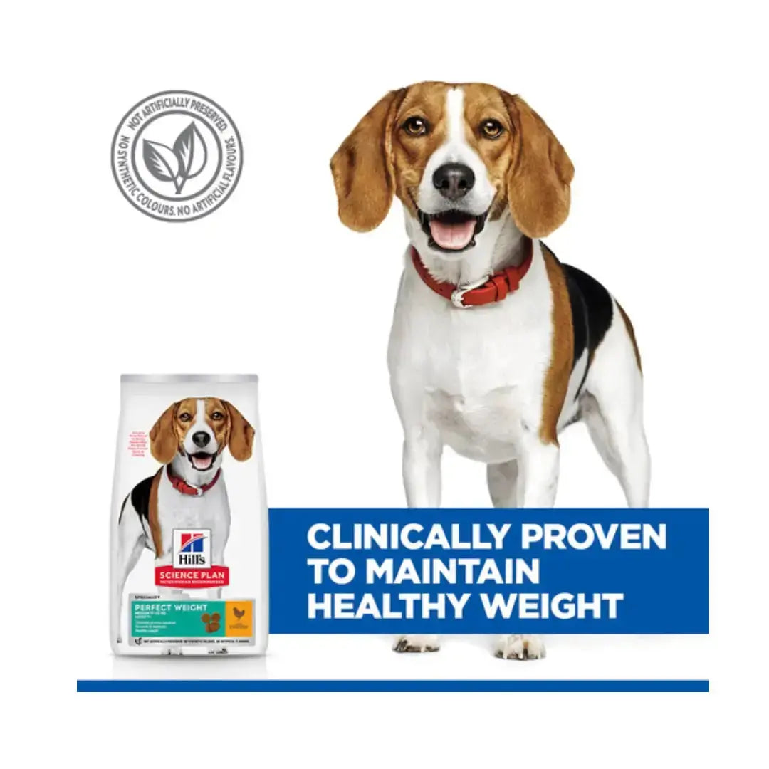 Hill’s Science Plan Medium Breed Adult Perfect Weight Chicken Dry Dog Food   | Canine & Co