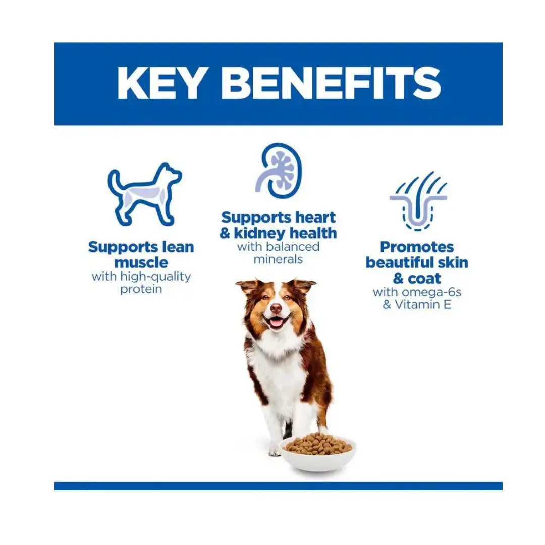 Hill’s Science Plan Medium Breed Mature Adult 7+ Chicken Dry Dog Food   | Canine & Co
