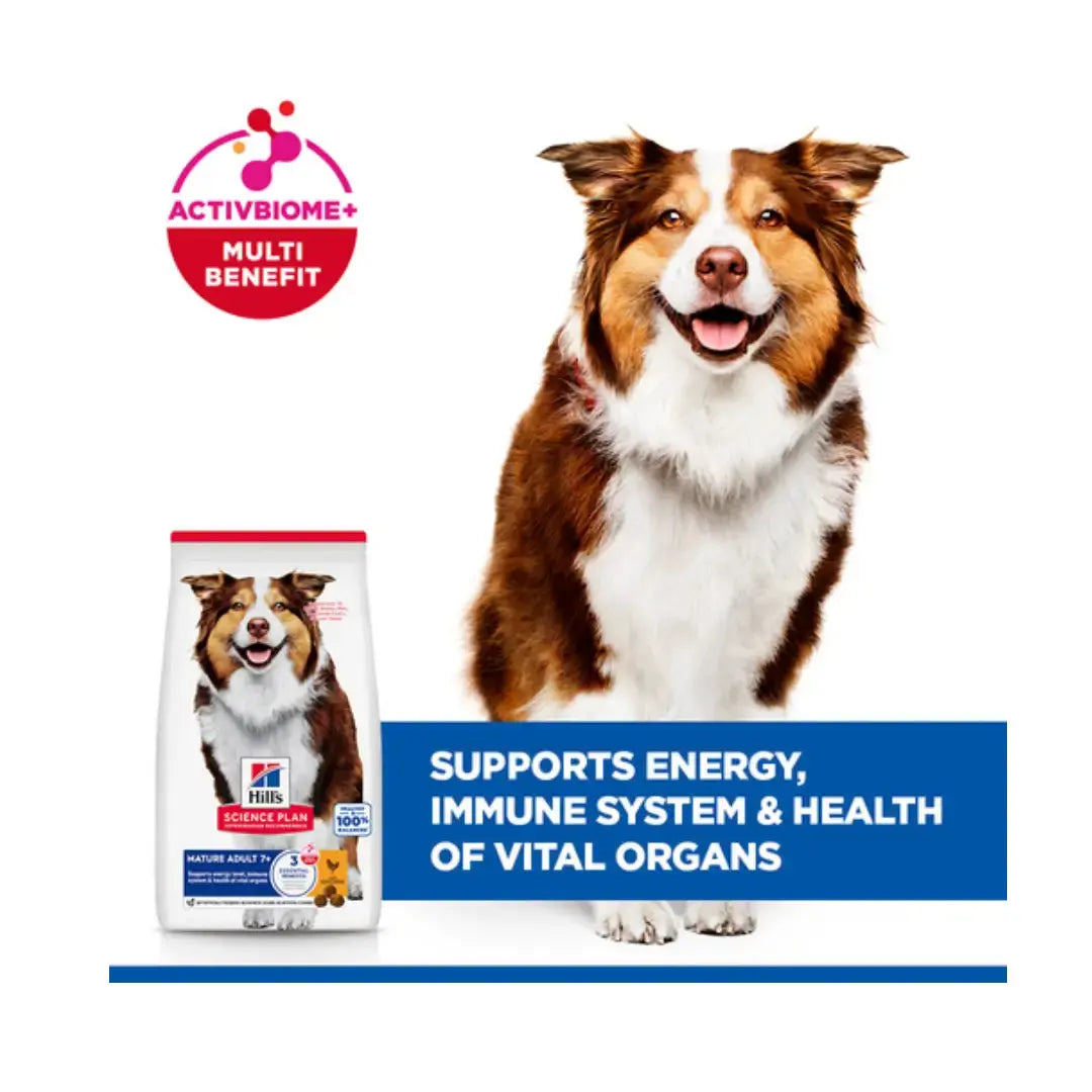 Hill’s Science Plan Medium Breed Mature Adult 7+ Chicken Dry Dog Food   | Canine & Co