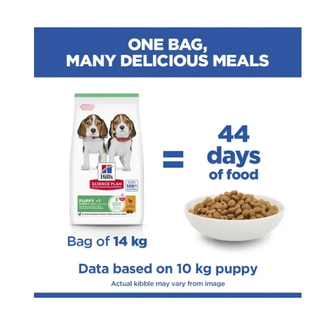 Hill's Science Plan Medium Breed Puppy Chicken Dry Dog Food   | Canine & Co