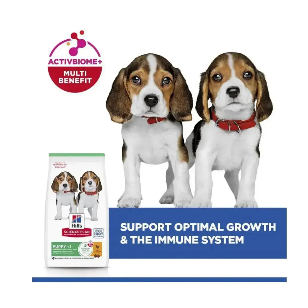 Hill's Science Plan Medium Breed Puppy Chicken Dry Dog Food   | Canine & Co