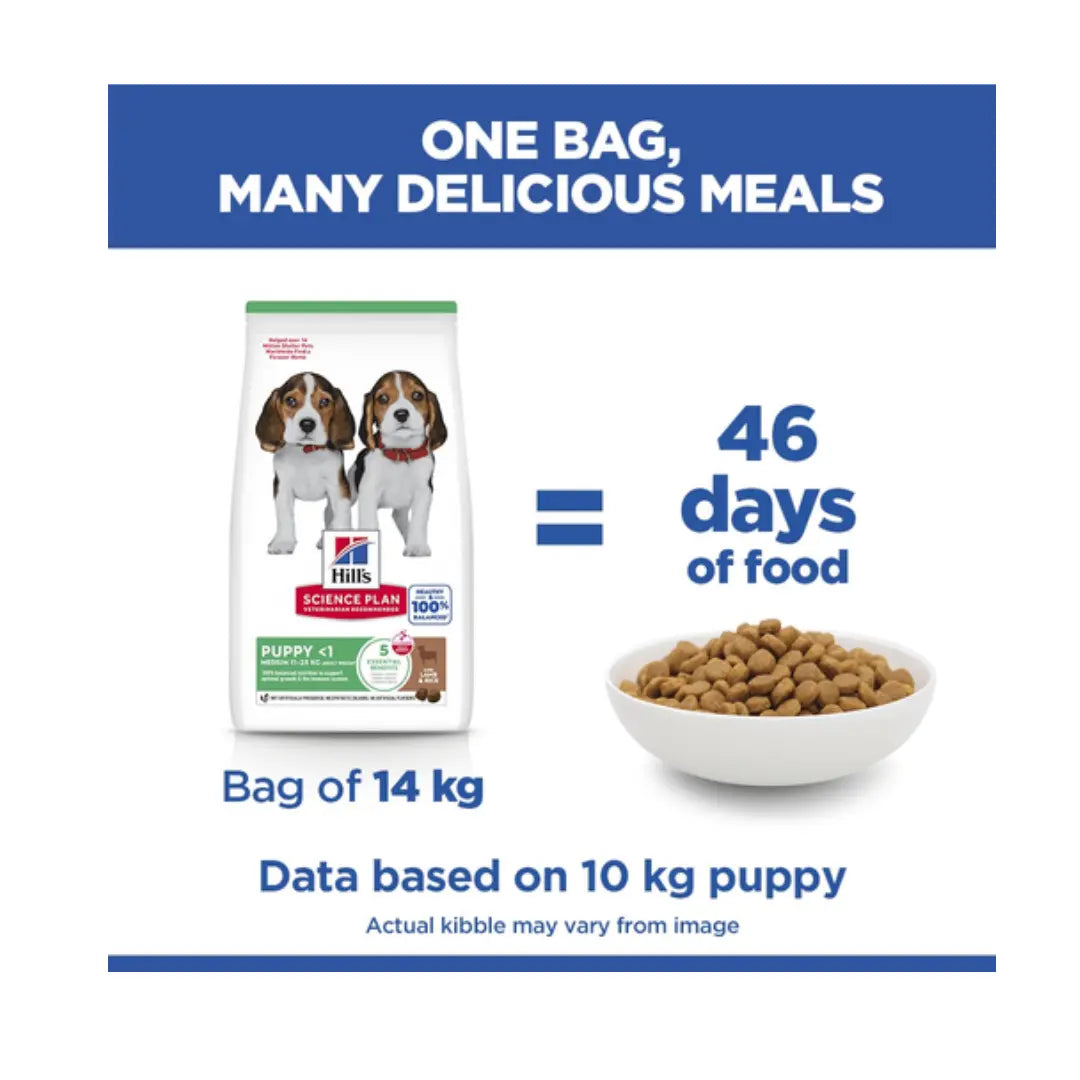 Hill’s Science Plan Medium Breed Puppy Lamb & Rice Dry Dog Food   | Canine & Co