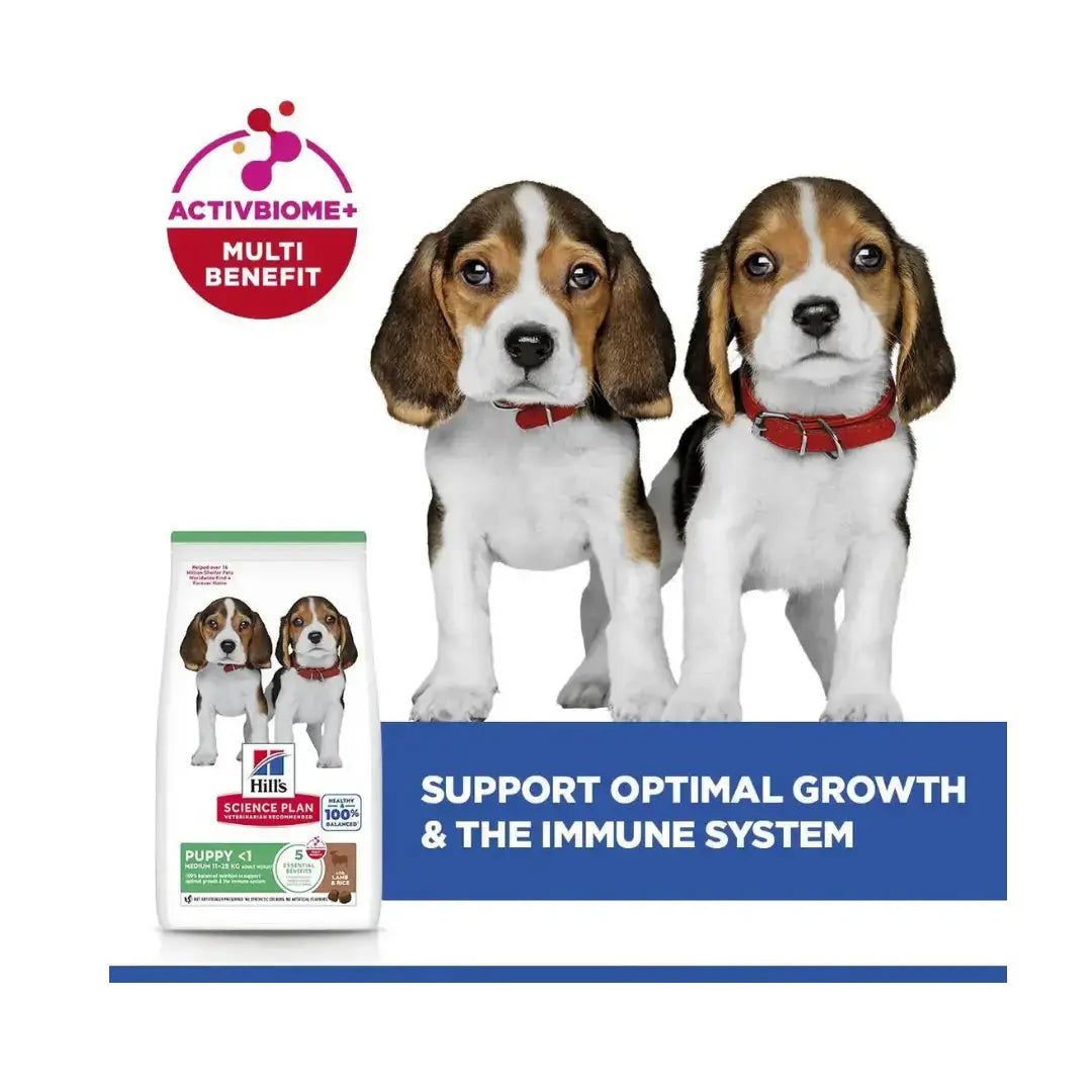 Hill’s Science Plan Medium Breed Puppy Lamb & Rice Dry Dog Food   | Canine & Co