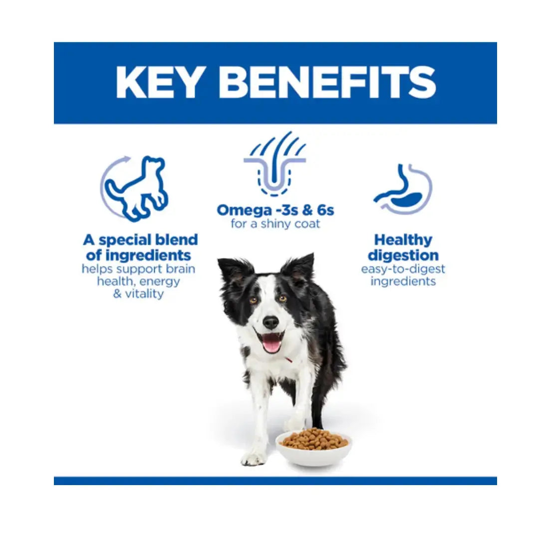 Hill’s Science Plan Medium Breed Senior Vitality 7+ Chicken Dry Dog Food   | Canine & Co