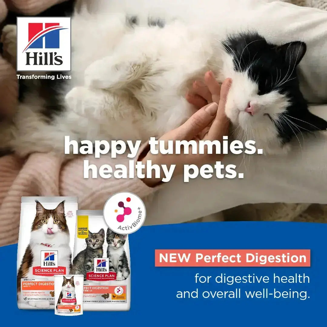 Happy cat being cuddled, showcasing Hill's Science Plan for digestive health and well-being.