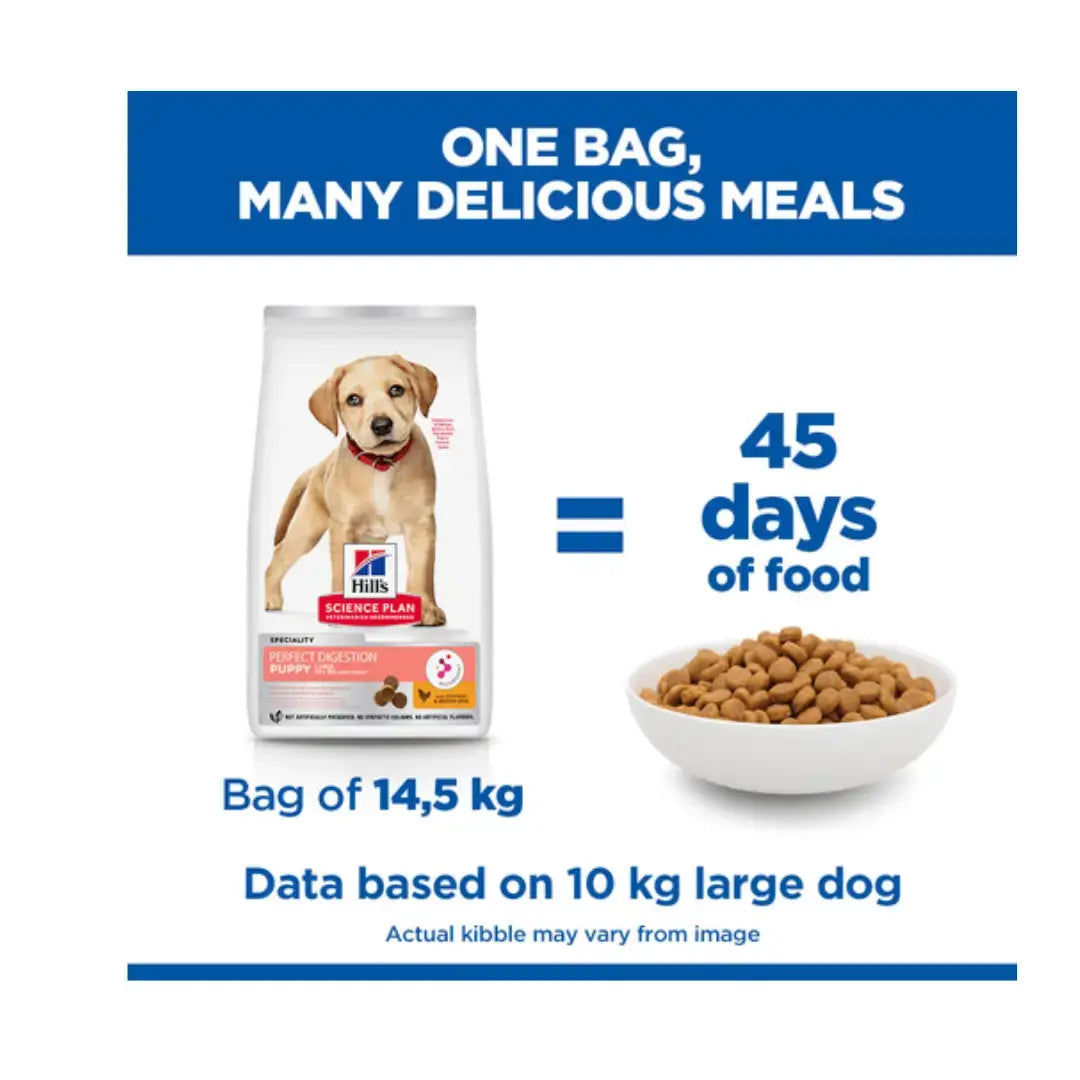 Hill’s Science Plan Perfect Digestion Large Breed Chicken Puppy Food   | Canine & Co