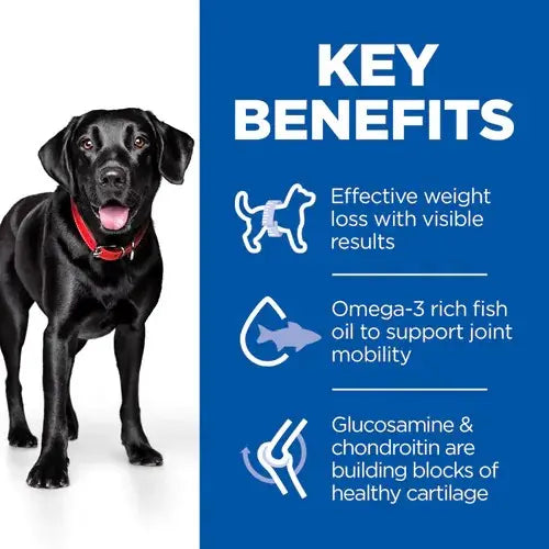 Black dog with red collar highlighting key benefits of pet nutrition, including weight loss and joint support.