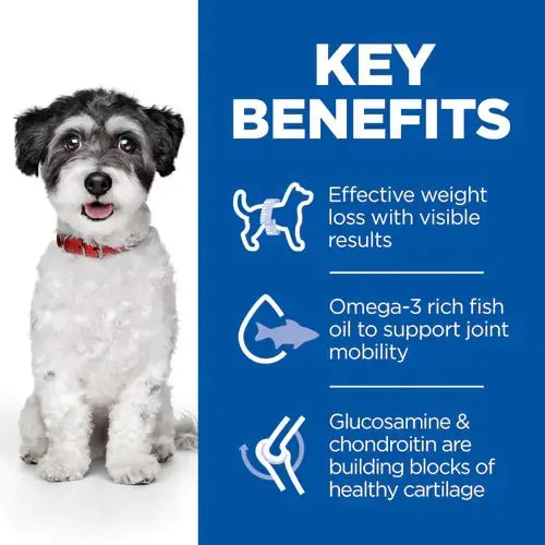 Dog with key benefits of weight loss, omega-3 fish oil, and joint health infographic.