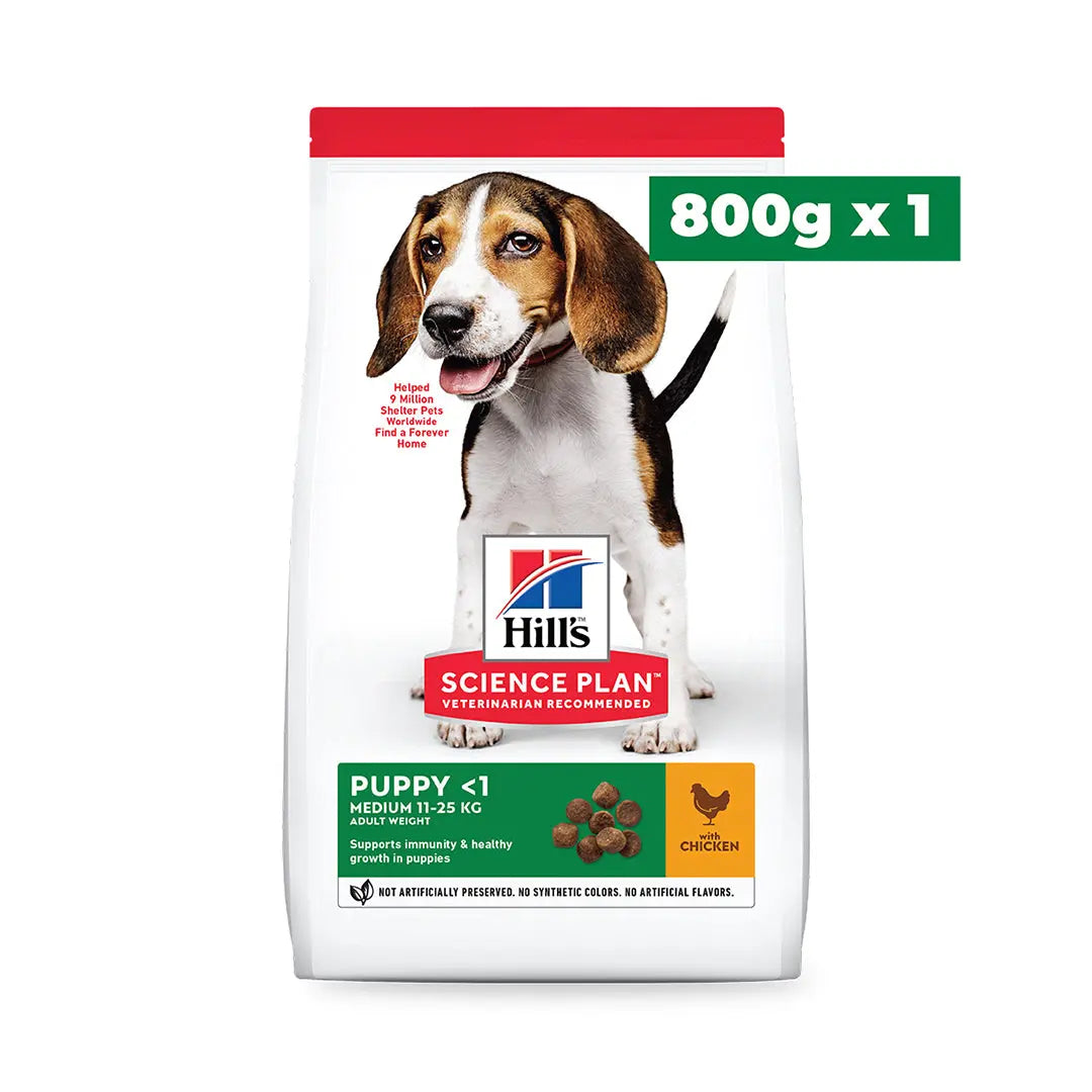 Puppy Medium Welcome Home Pack - Packshot