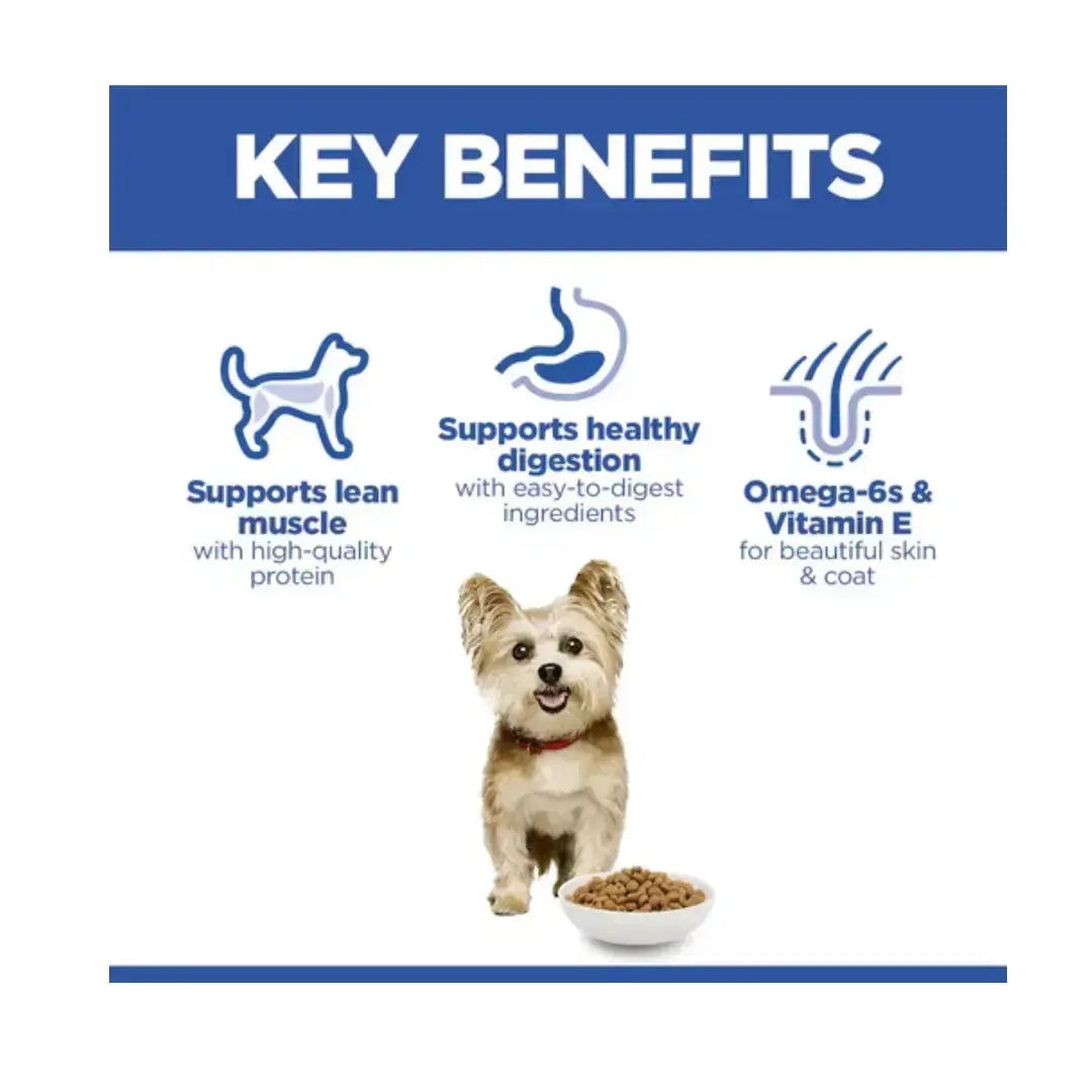 Hill’s Science Plan Small & Mini Adult Chicken Dry Dog Food   | Canine & Co