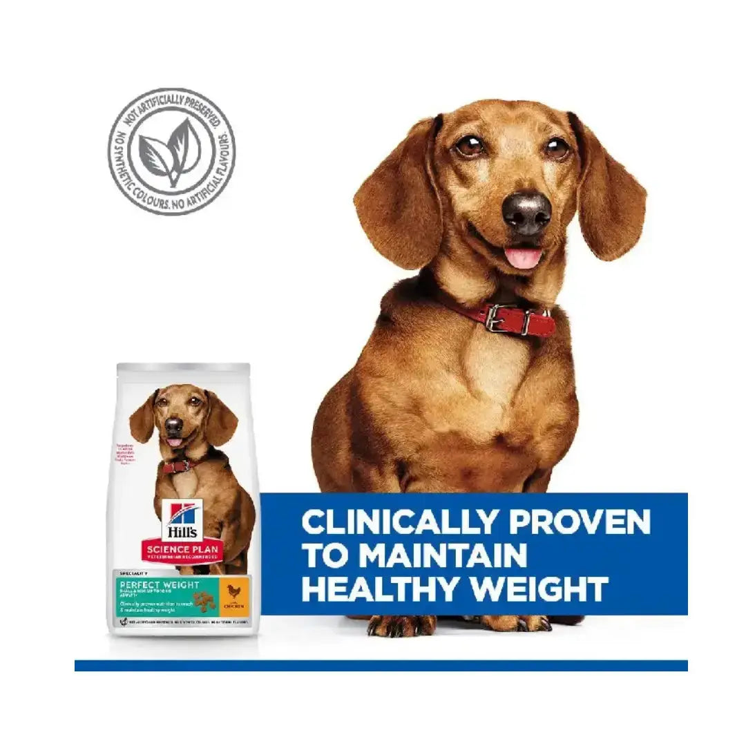 Hill's Science Plan Small & Mini Adult Perfect Weight Chicken Dry Dog Food   | Canine & Co