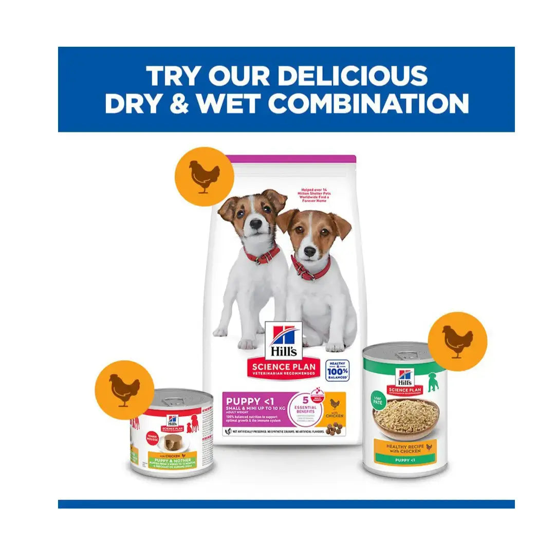 Hill’s Science Plan Small & Mini Puppy Chicken Dry Dog Food   | Canine & Co