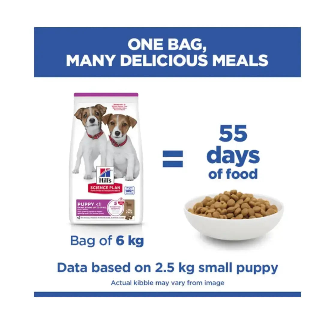 Hill’s Science Plan Small & Mini Puppy Lamb & Rice Dry Dog Food   | Canine & Co