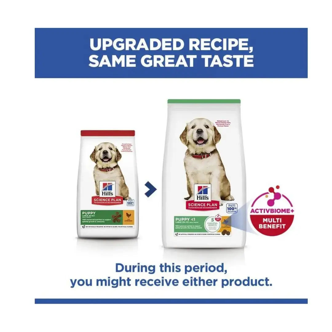 Hill’s Science Plan Large Breed Puppy Chicken Dry Dog Food   | Canine & Co