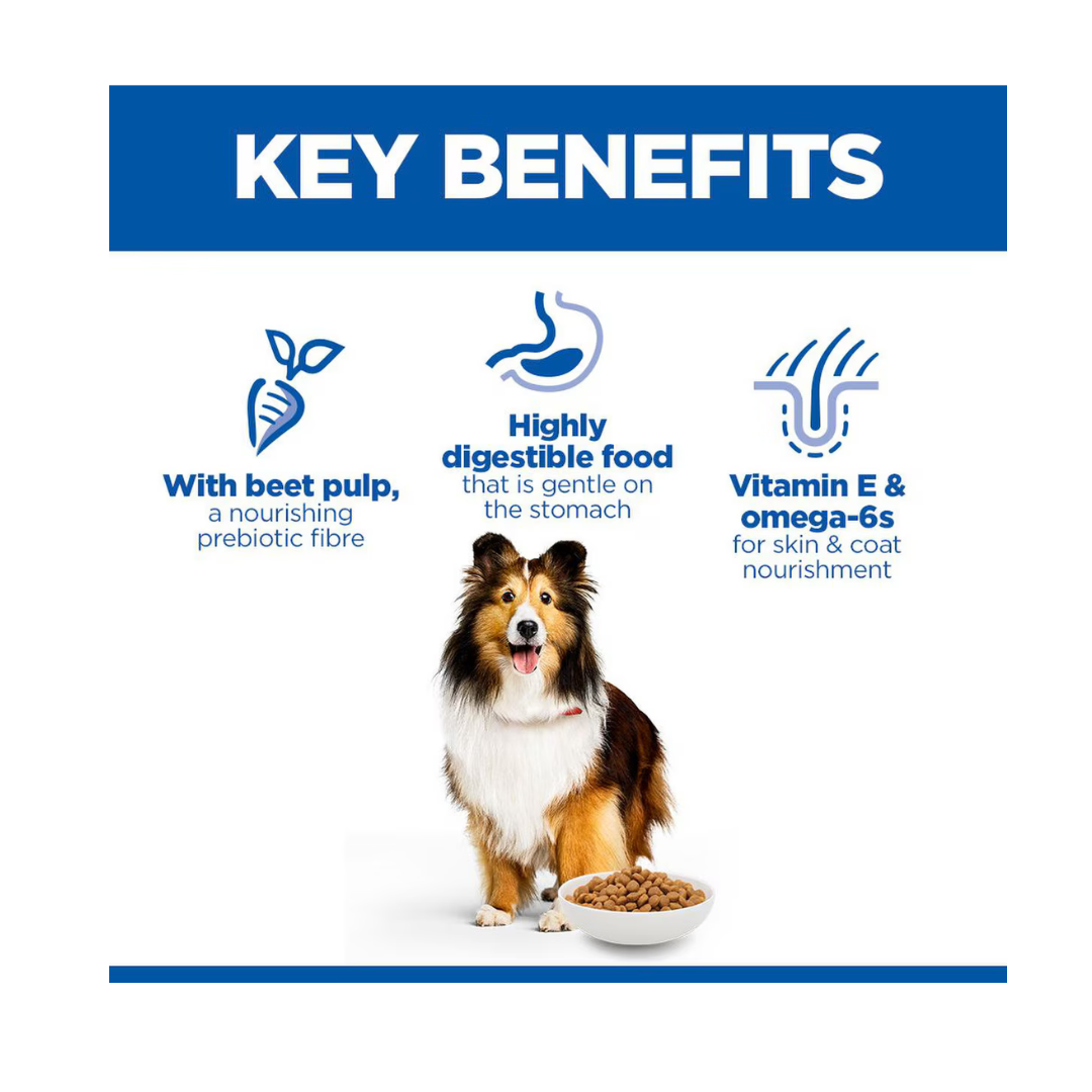 Hill’s Science Plan Adult Sensitive Stomach & Skin Dry Dog Food, Chicken Flavour   | Canine & Co