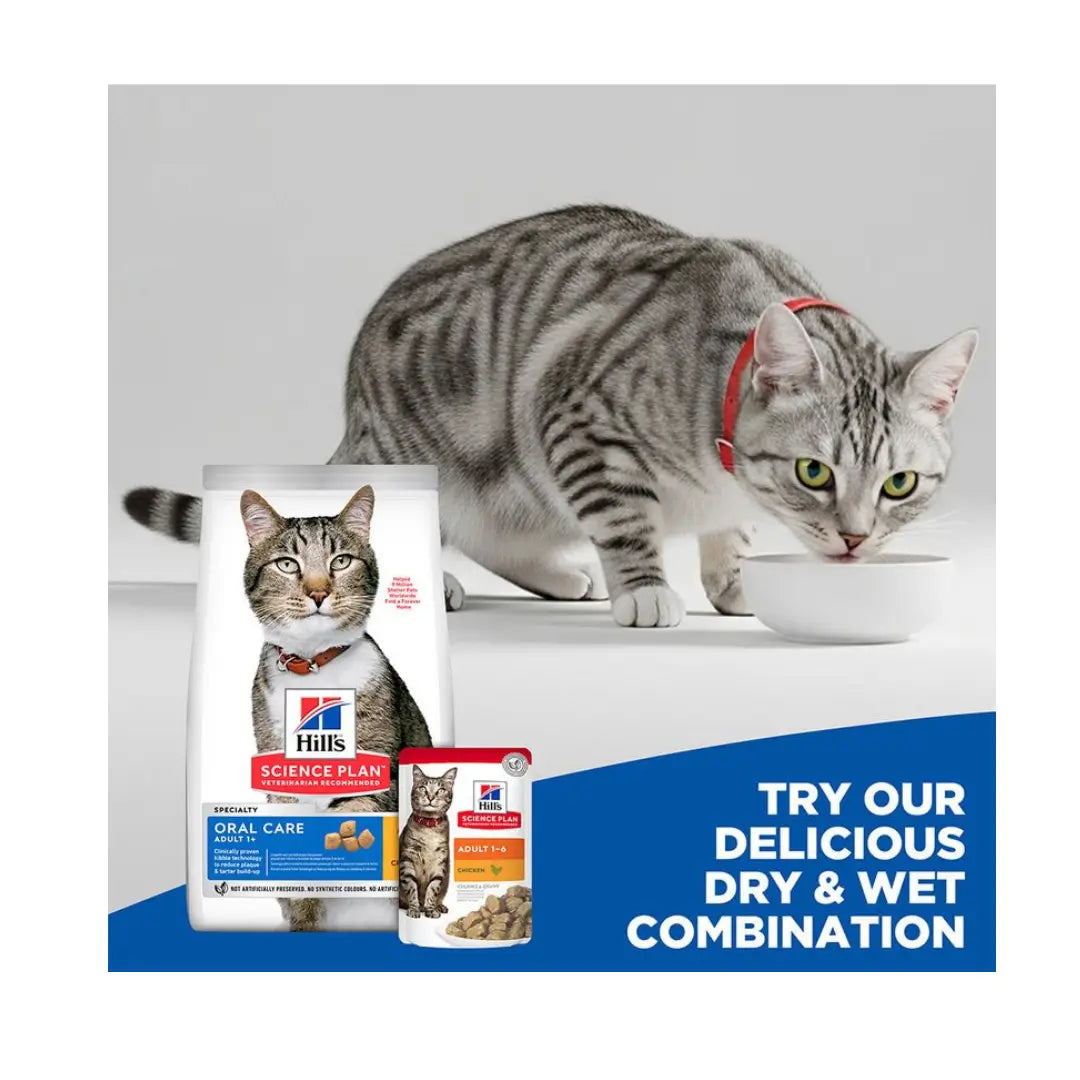 Hill's Science Plan Feline Adult Oral Care Chicken Dry Cat Food   | Canine & Co