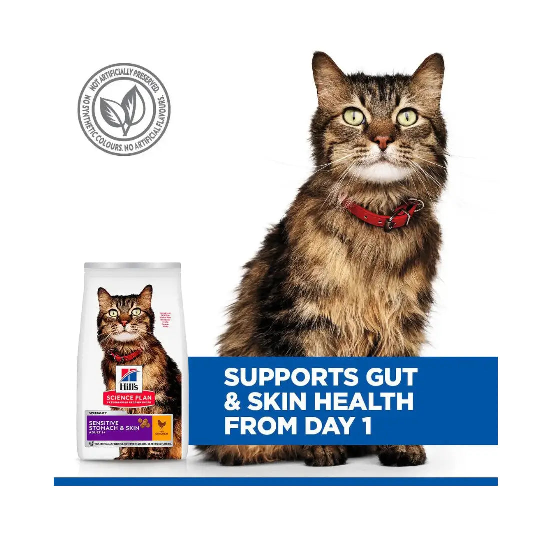 Hill's Science Plan Feline Adult Sensitive Stomach & Skin Chicken Dry Cat Food   | Canine & Co