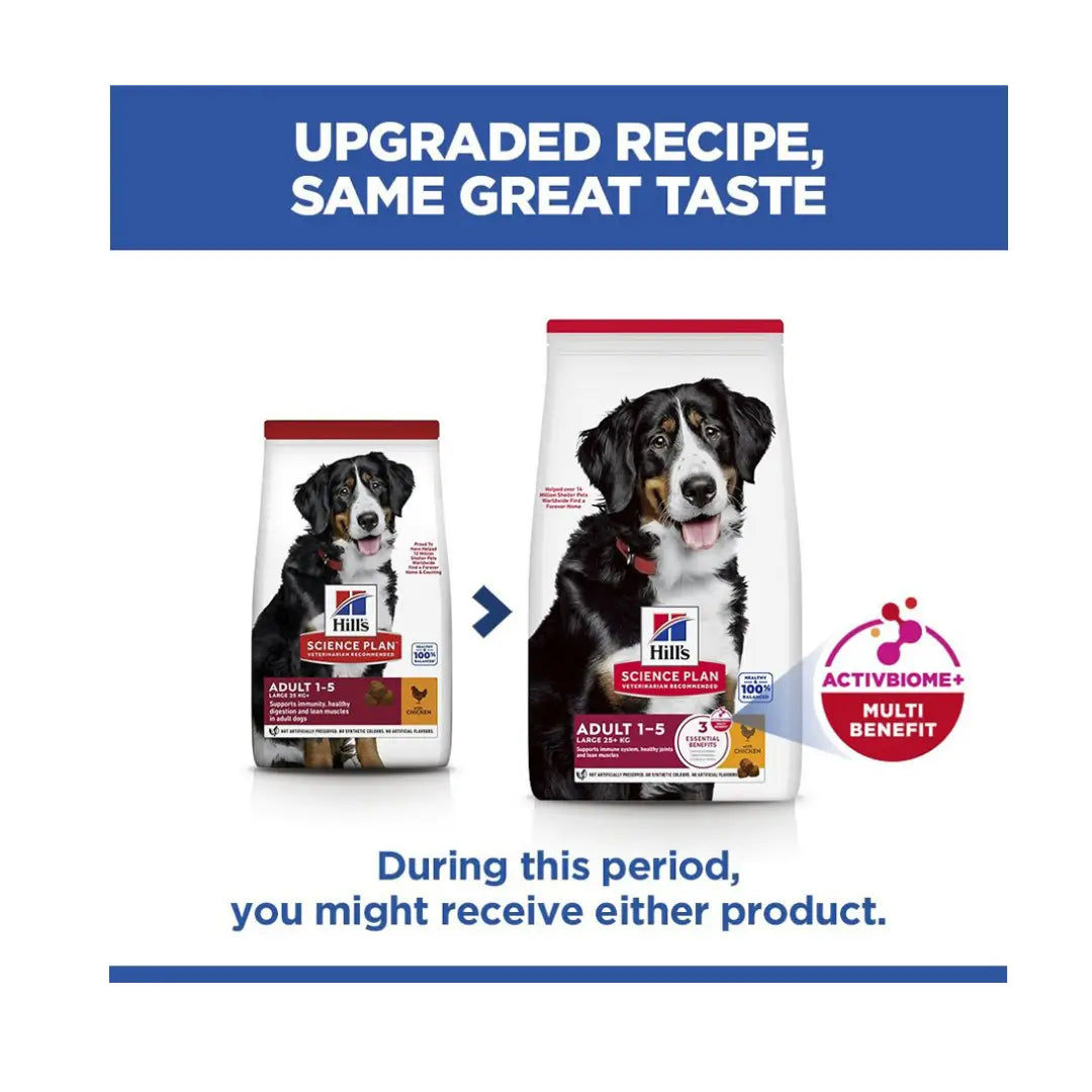 Hill’s Science Plan Large Breed Adult Dry Dog Food, Chicken Flavour   | Canine & Co