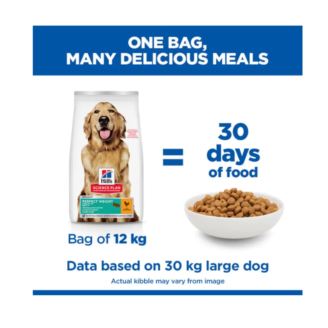 Hill’s Science Plan Large Breed Adult Perfect Weight Dry Dog Food, Chicken Flavour   | Canine & Co