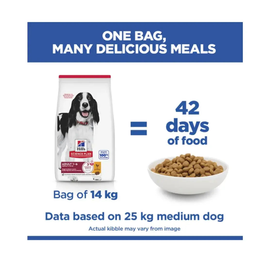 Hill’s Science Plan Medium Breed Adult Dry Dog Food, Chicken Flavour   | Canine & Co