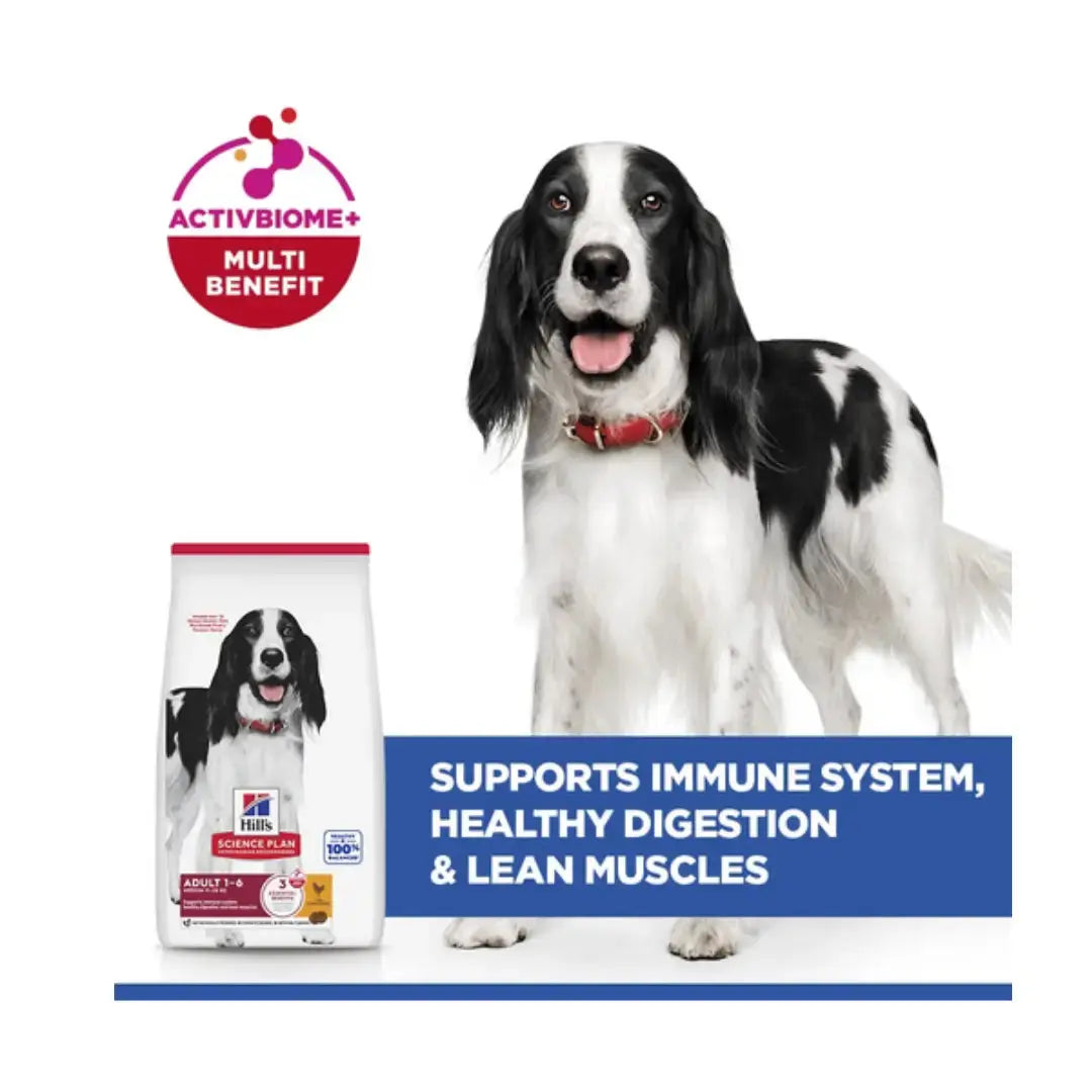 Hill’s Science Plan Medium Breed Adult Dry Dog Food, Chicken Flavour   | Canine & Co