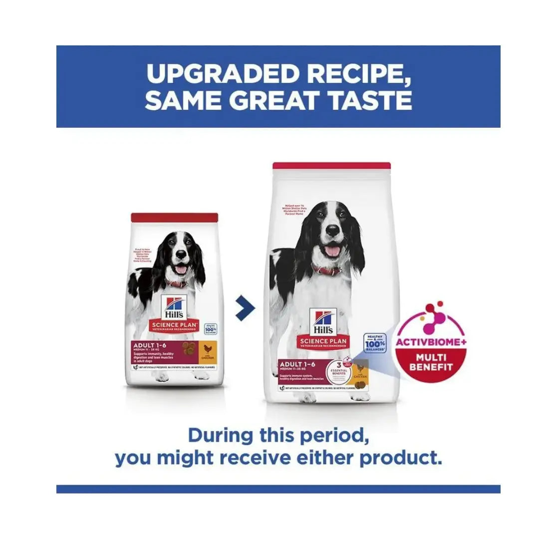 Hill’s Science Plan Medium Breed Adult Dry Dog Food, Chicken Flavour   | Canine & Co