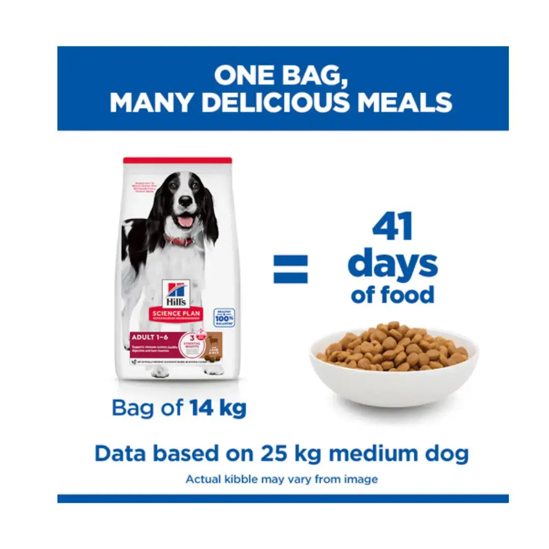 Hill’s Science Plan Medium Breed Adult Dry Dog Food, Lamb & Rice   | Canine & Co