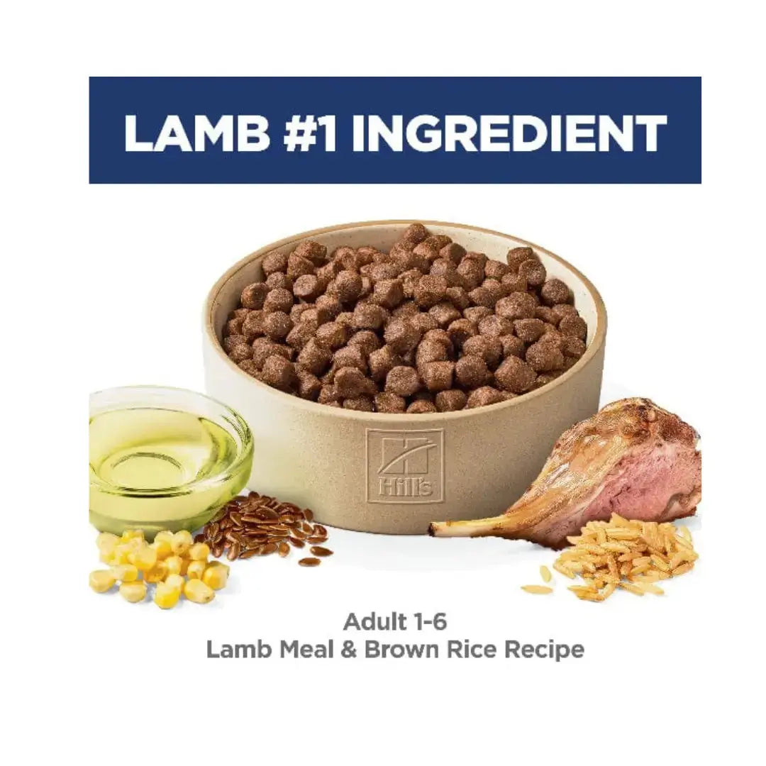 Hill’s Science Plan Medium Breed Adult Dry Dog Food, Lamb & Rice   | Canine & Co