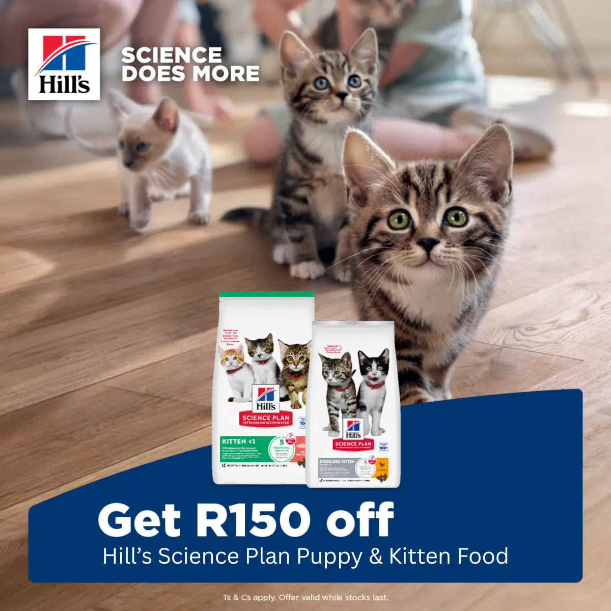 SAVE R150 On Selected Hill's Puppy & Kitten