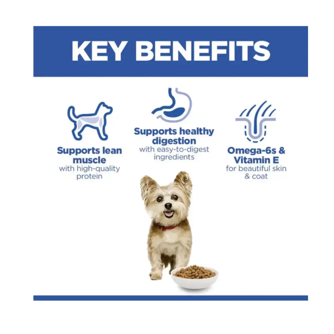 Hill’s Science Plan Small & Mini Adult Dry Dog Food, Chicken Flavour   | Canine & Co