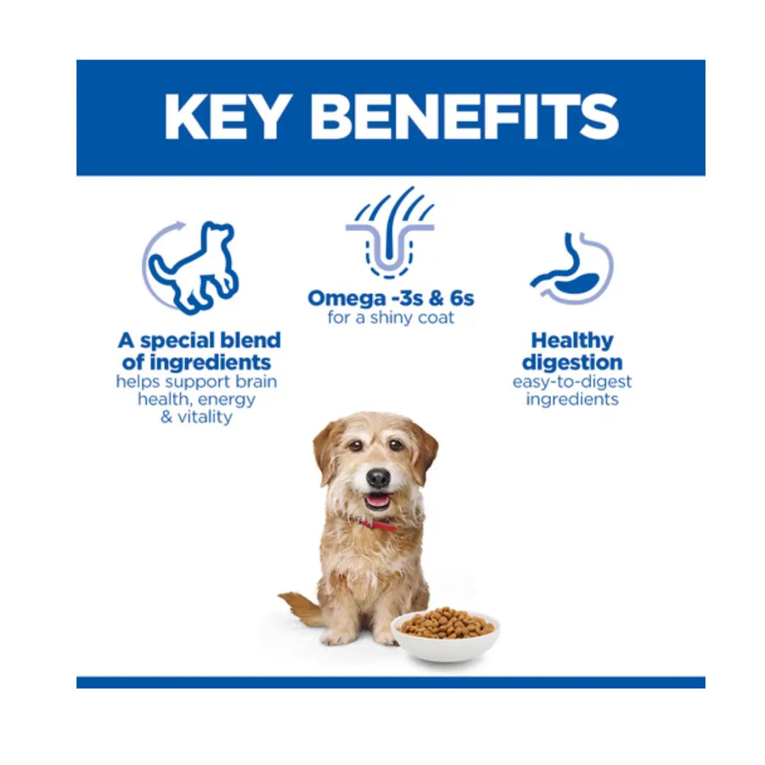 Hill’s Science Plan Small & Mini Senior Vitality 7+ Dry Dog Food, Chicken Flavour   | Canine & Co