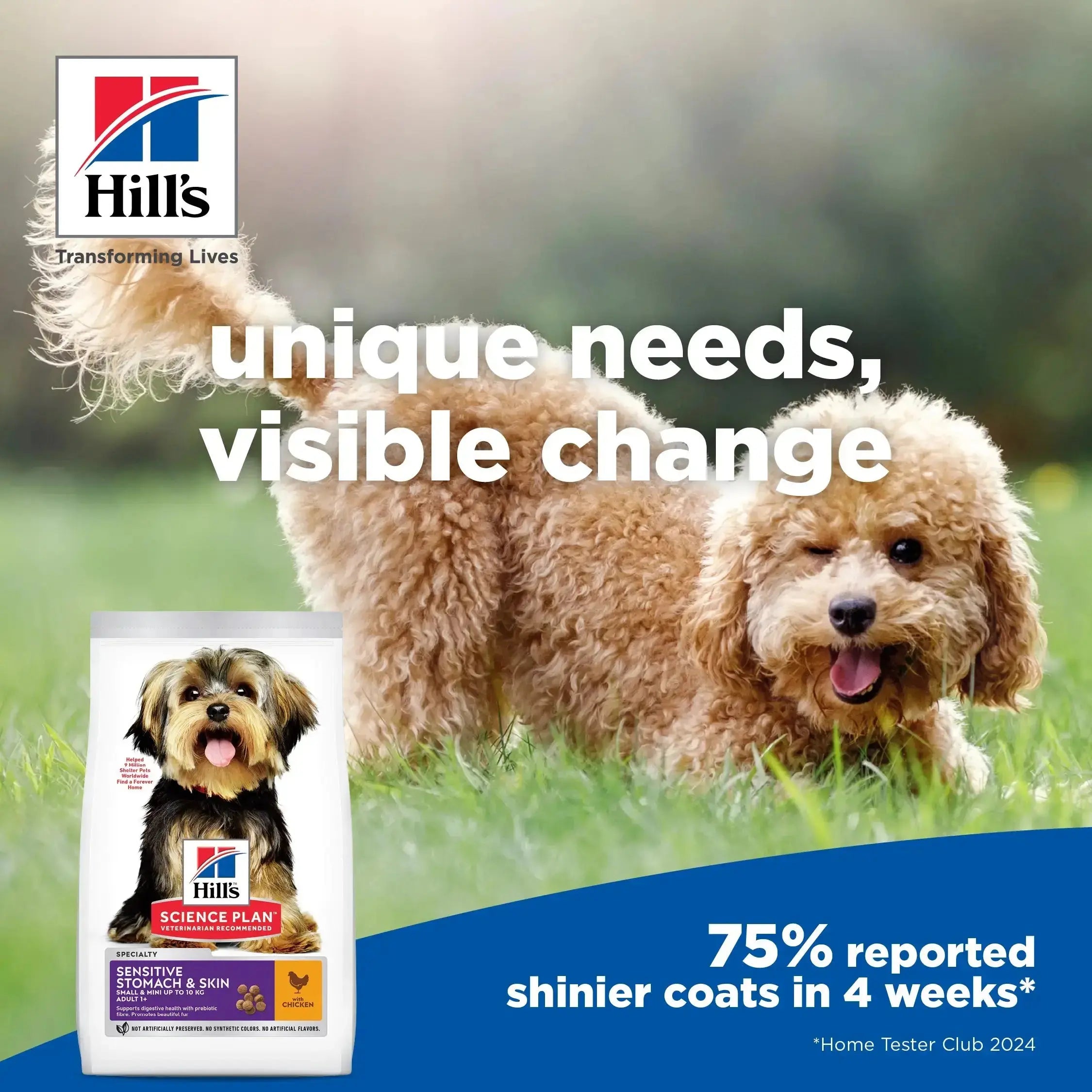 Hill's Science Plan Canine Sensitive Stomach & Skin Small & Mini Adult Chicken Dry Dog Food Hill's Science Plan