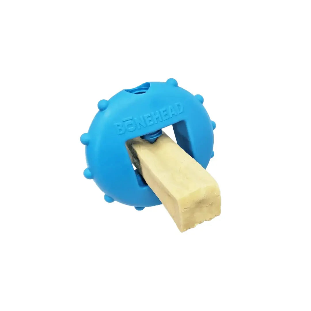 Himalayan Bonehead   | Canine & Co