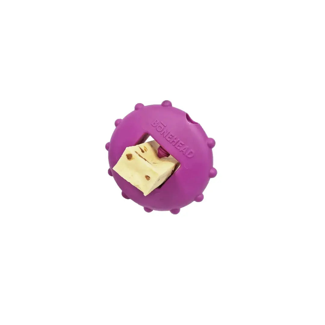 Himalayan Bonehead   | Canine & Co