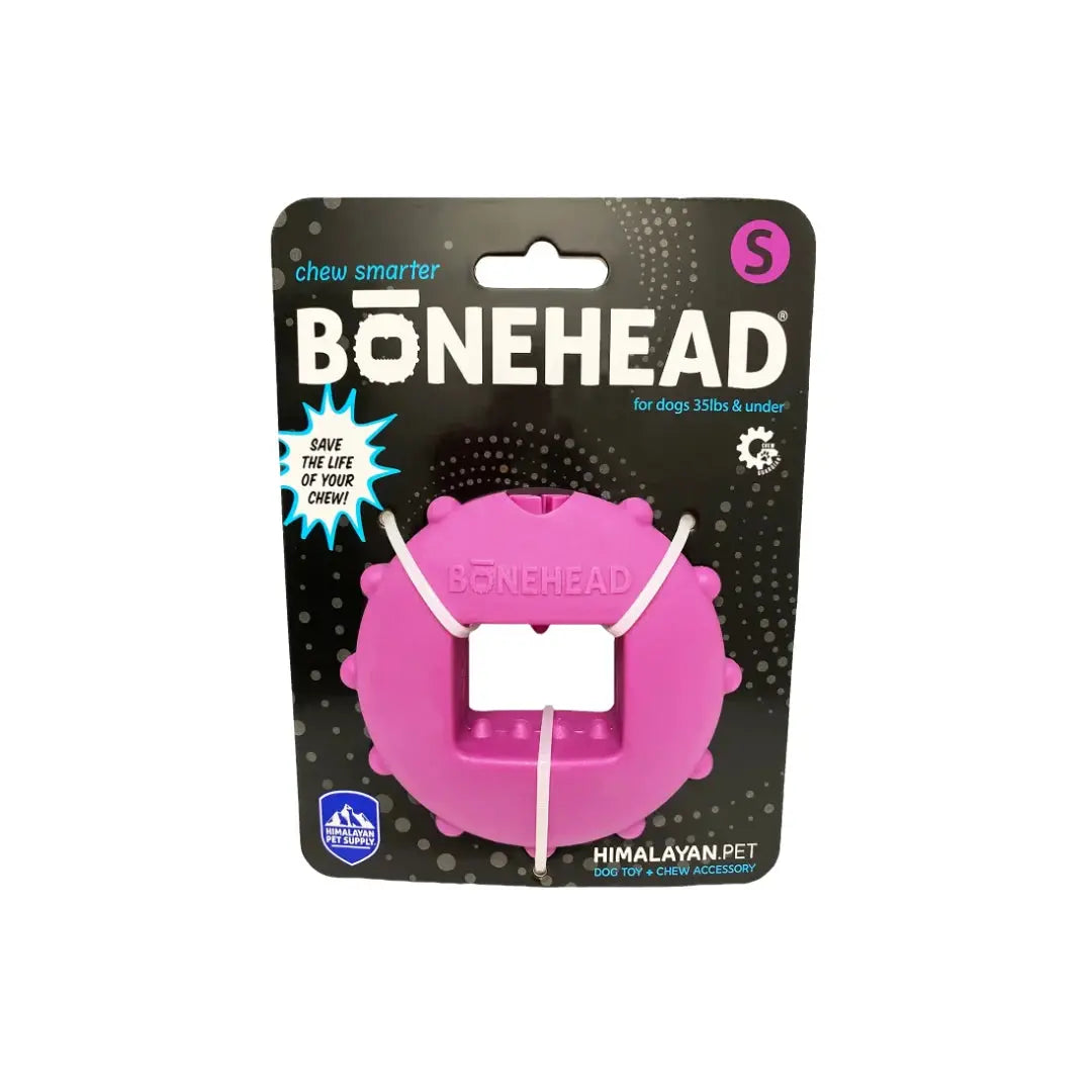 Himalayan Bonehead   | Canine & Co