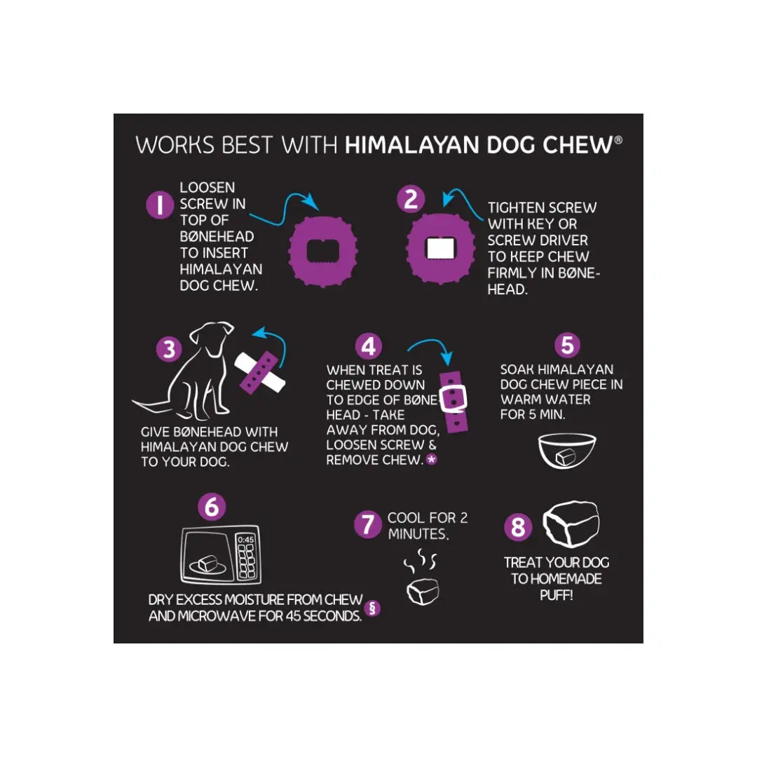 Himalayan Bonehead   | Canine & Co