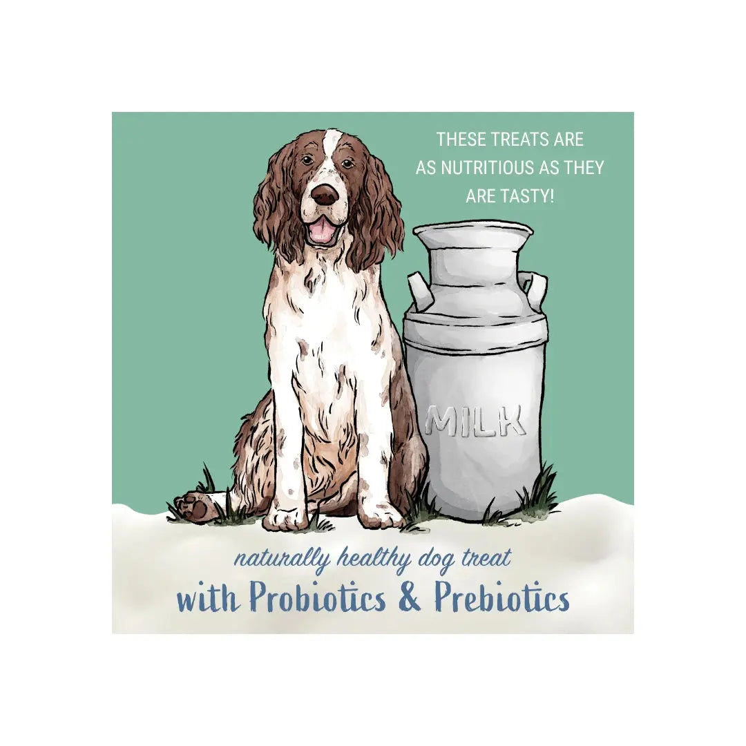 Himalayan Yogurt Sticks Dog Chew - Plain   | Canine & Co