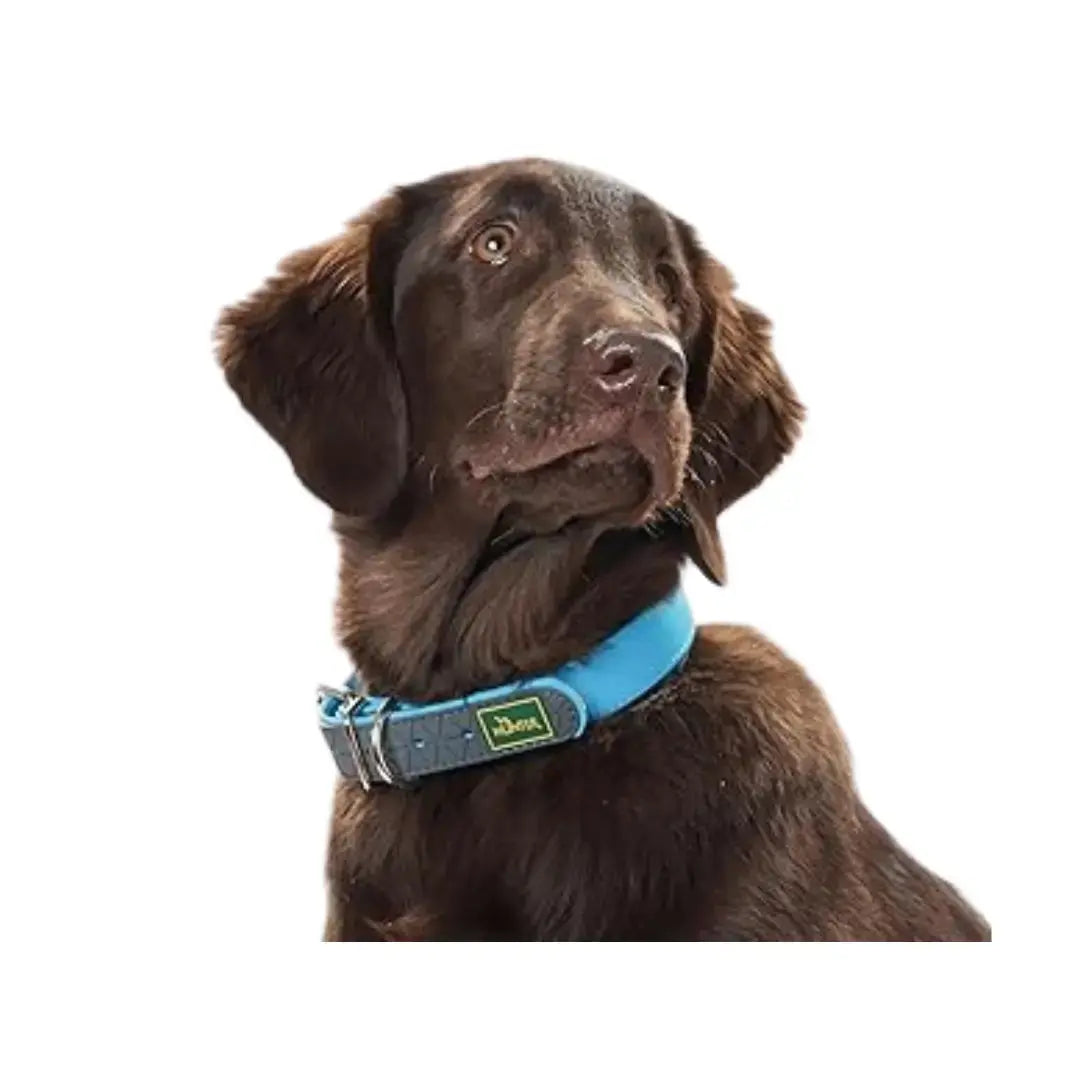 Hunter Convenience Easy Clean Dog Collar   | Canine & Co