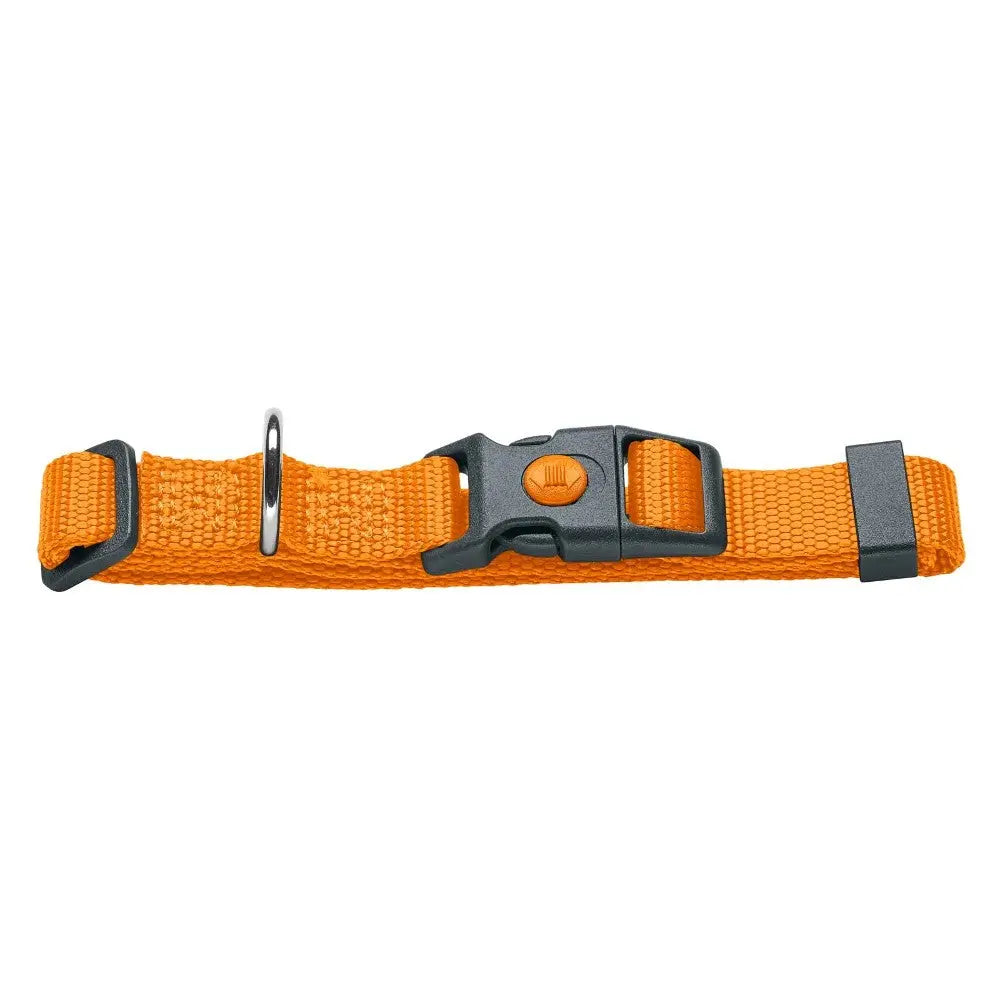 Adjustable orange pet collar with durable buckle and metal D-ring for leash attachment.