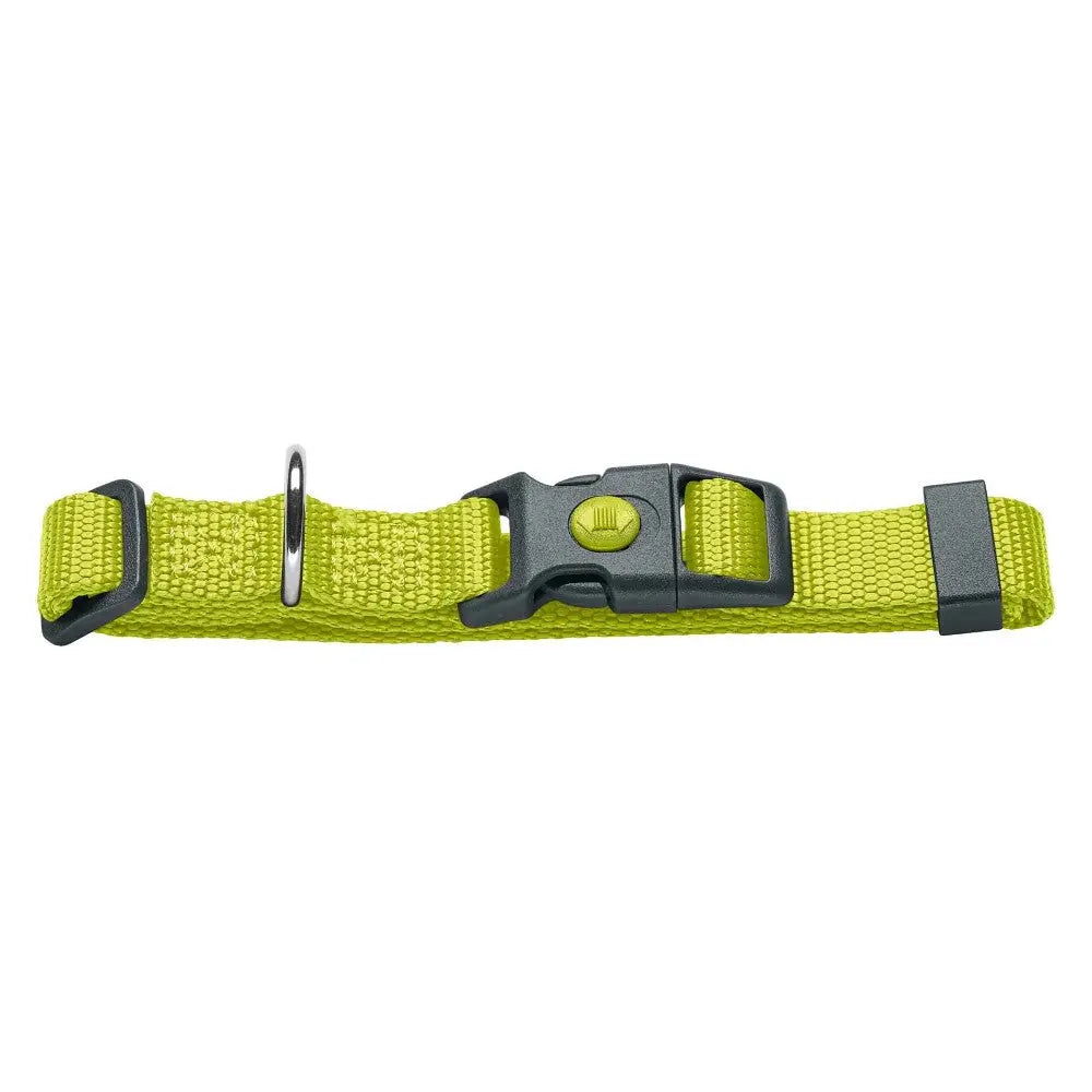 Adjustable green pet collar with durable buckle and metal D-ring for leash attachment.