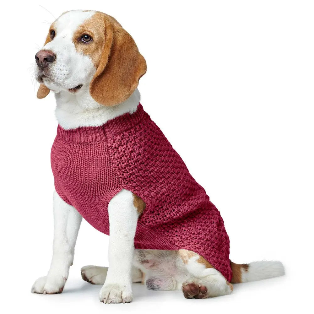 Beagle wearing a cozy red knitted sweater, perfect for chilly days.