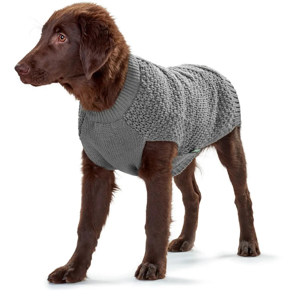 Dog wearing a cozy gray knitted sweater, perfect for chilly weather and stylish outings.