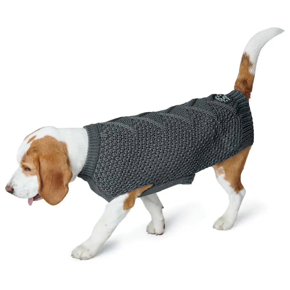 Beagle wearing a cozy gray knitted sweater for warmth and style during walks.