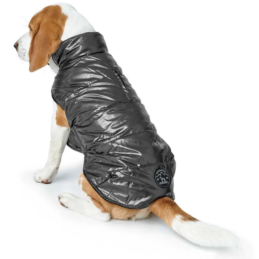 Beagle wearing a stylish black puffer jacket for warmth and comfort during outdoor adventures.