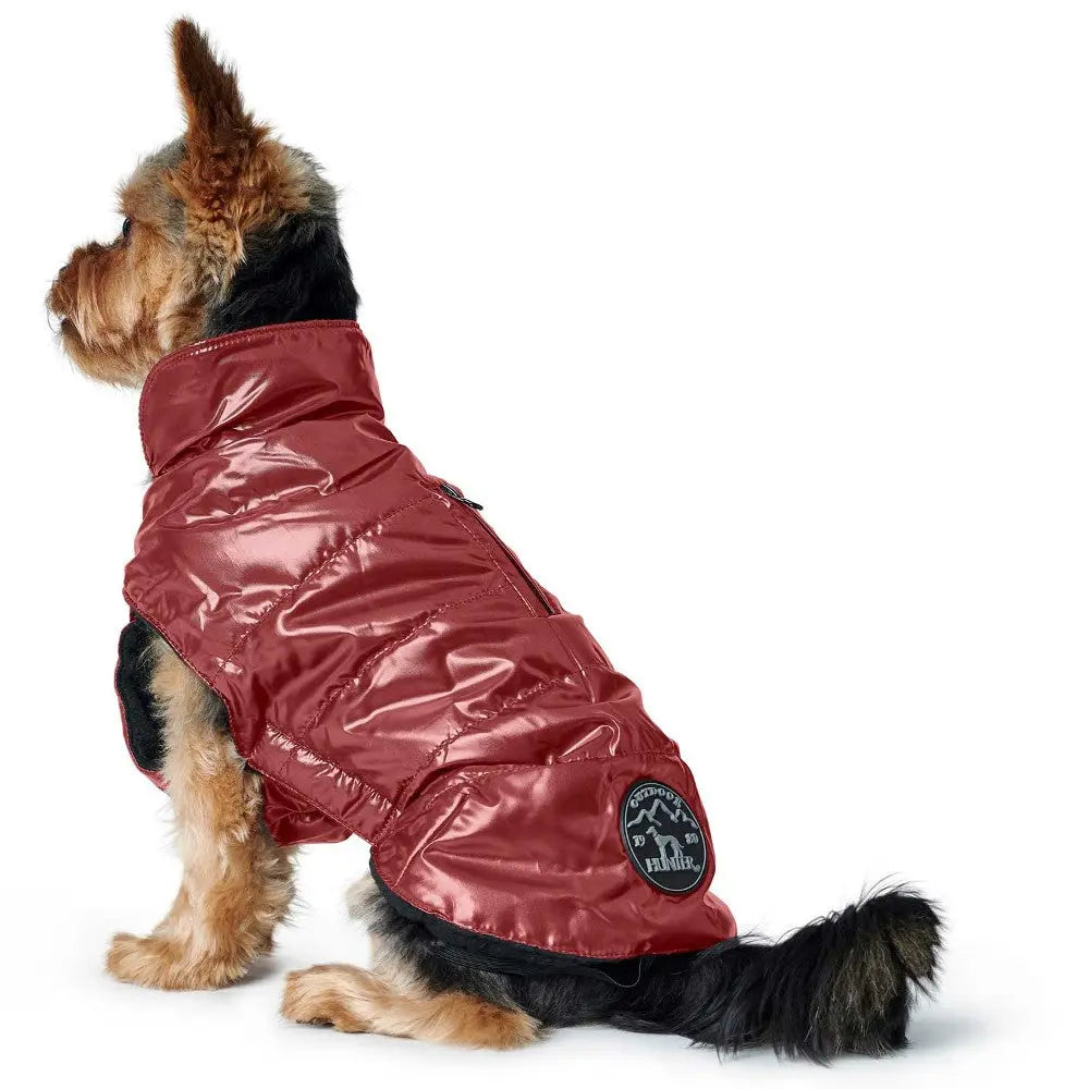 Dog wearing a stylish red puffer jacket, perfect for cold weather walks and outdoor adventures.