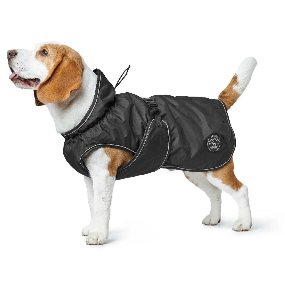 Beagle wearing a stylish black waterproof dog coat for outdoor protection and comfort.