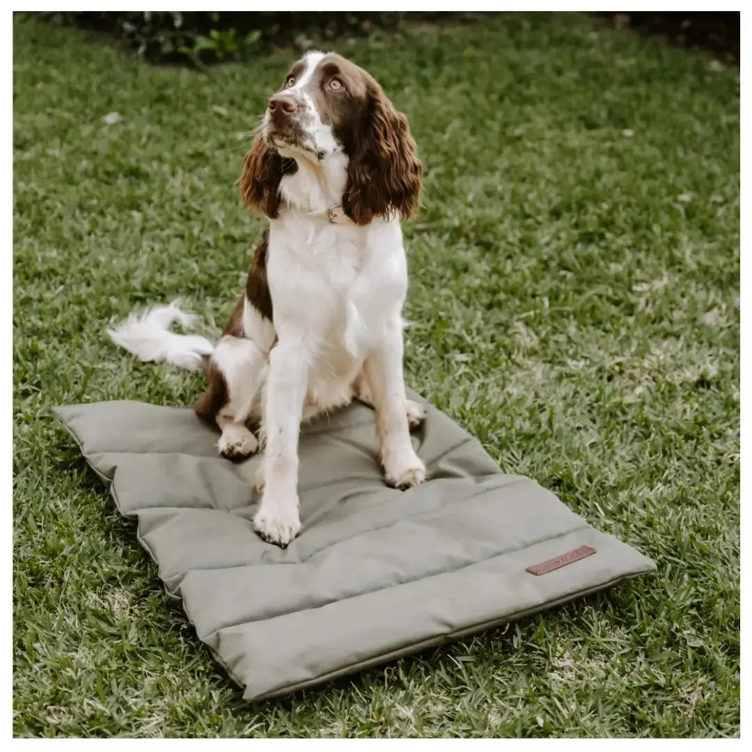 Huntlea Kalahari Dark Charcoal Travel Mat   | Canine & Co