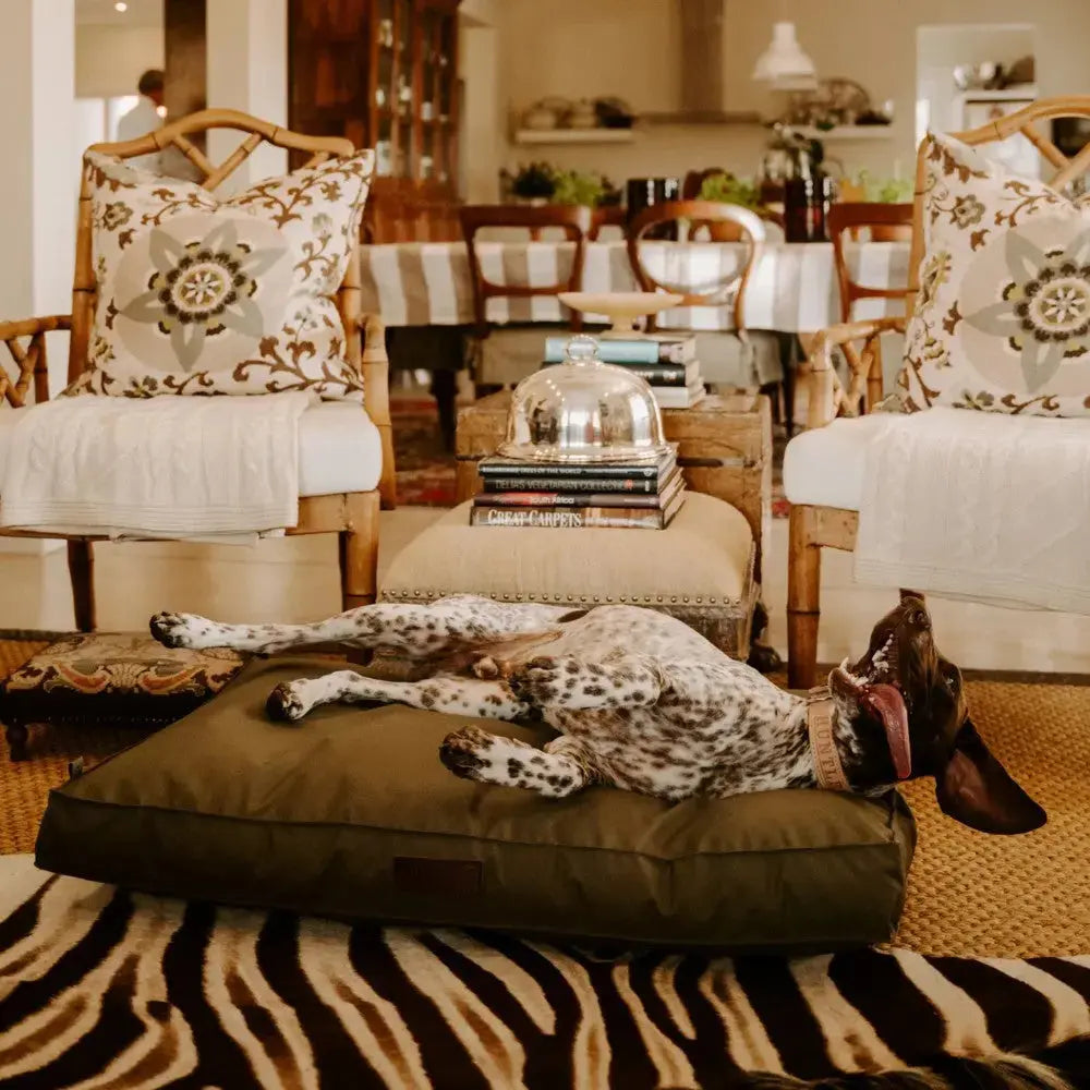 Huntlea Kalahari Orthopaedic Dog Bed Lifestyle Image
