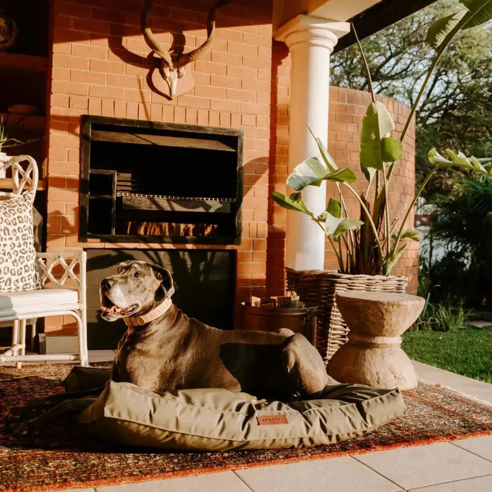 Huntlea Kalahari Orthopaedic Dog Bed Lifestyle Image